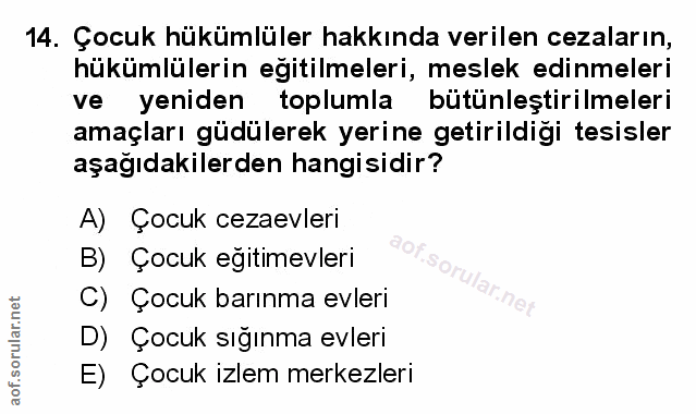 Soru 14