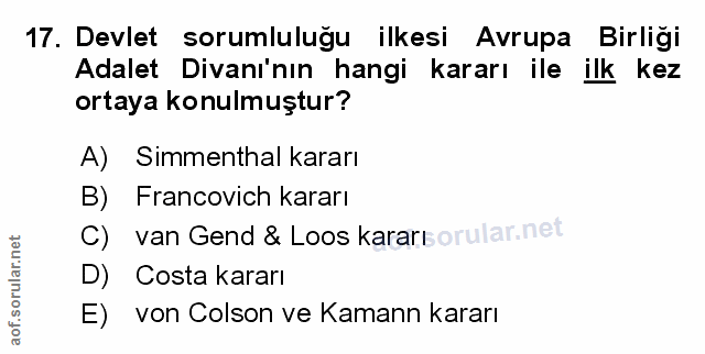 Soru 17