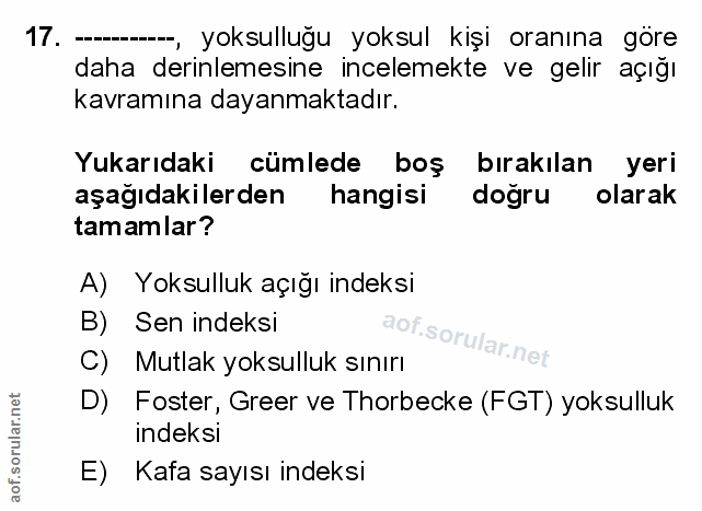 Soru 17