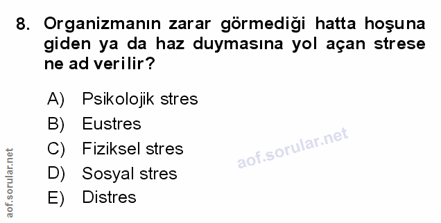 Soru 8