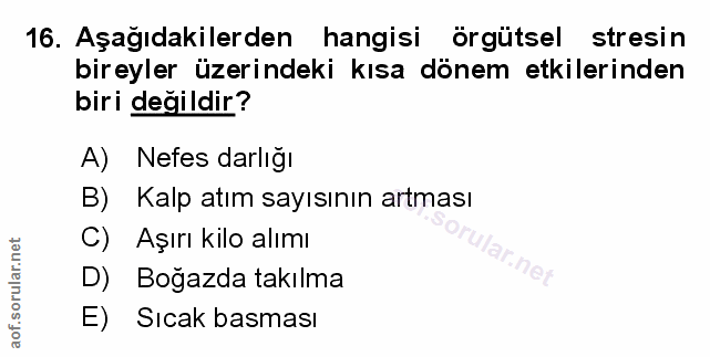 Soru 16