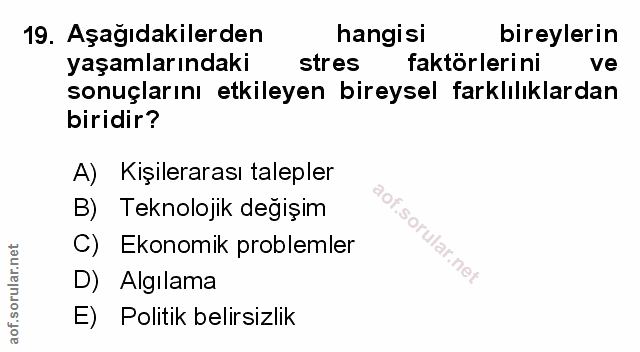 Soru 19