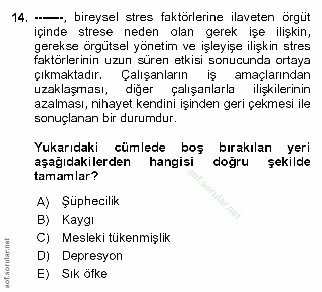 Soru 14