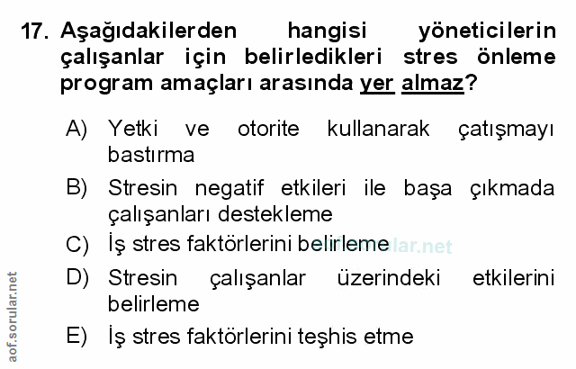 Soru 17