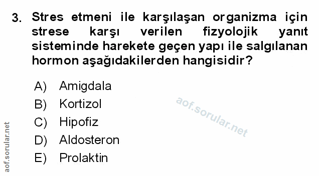 Soru 3