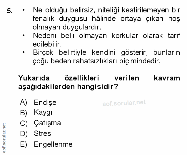 Soru 5