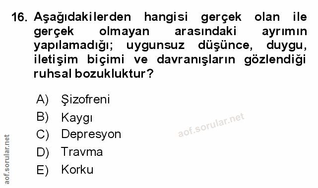 Soru 16