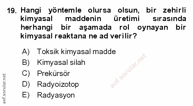 Soru 19