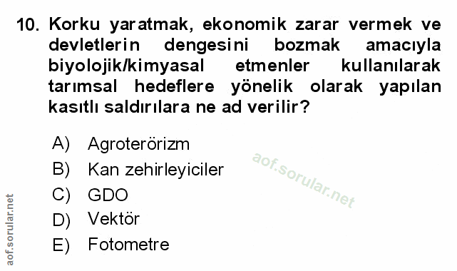 Soru 10