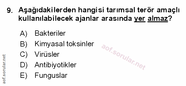 Soru 9