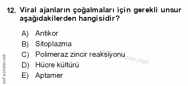 Soru 12