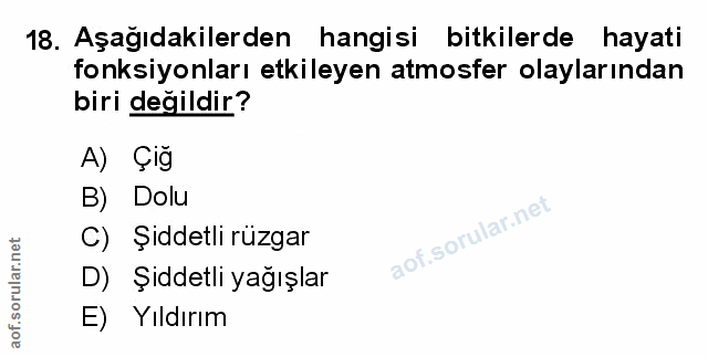 Soru 18