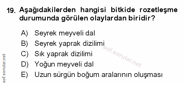 Soru 19
