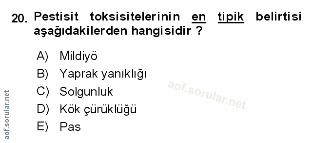 Soru 20
