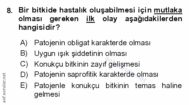 Soru 8