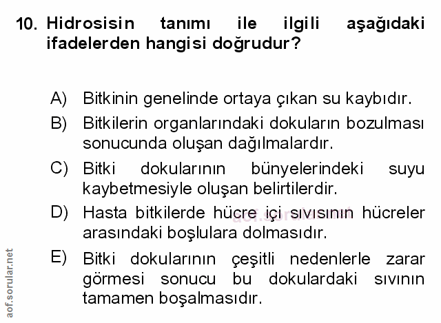 Soru 10