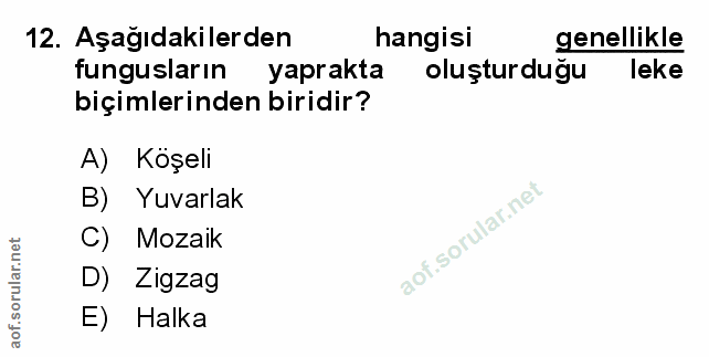 Soru 12