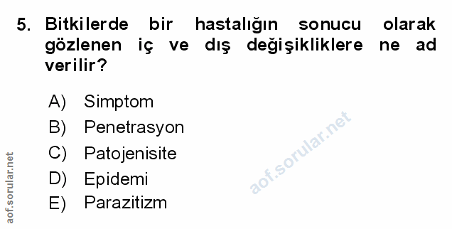 Soru 5