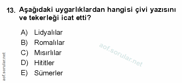 Soru 13