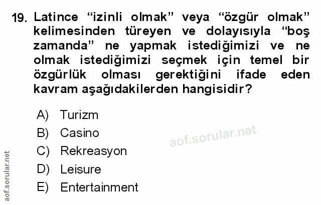 Soru 19