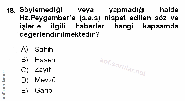 Soru 18