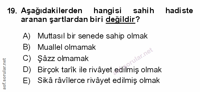 Soru 19