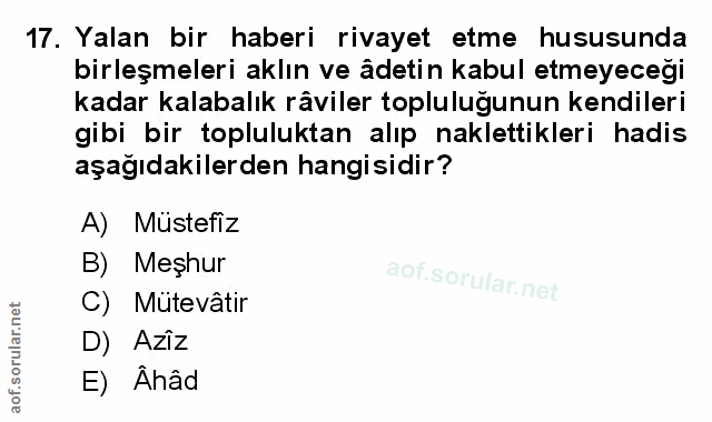 Soru 17