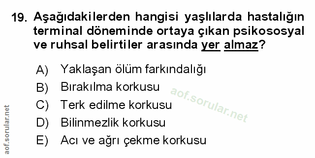 Soru 19