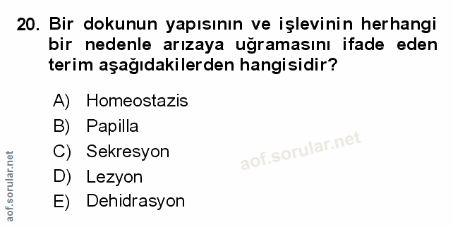 Soru 20