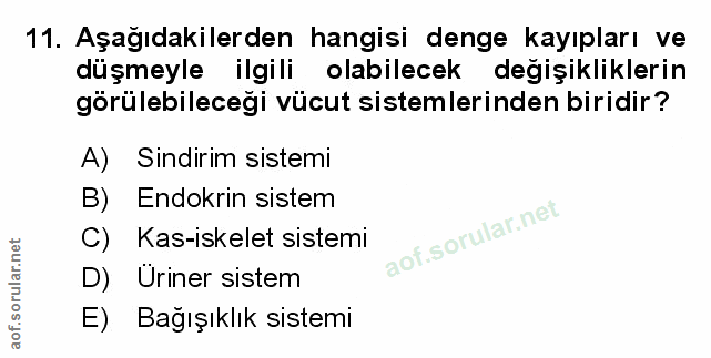 Soru 11