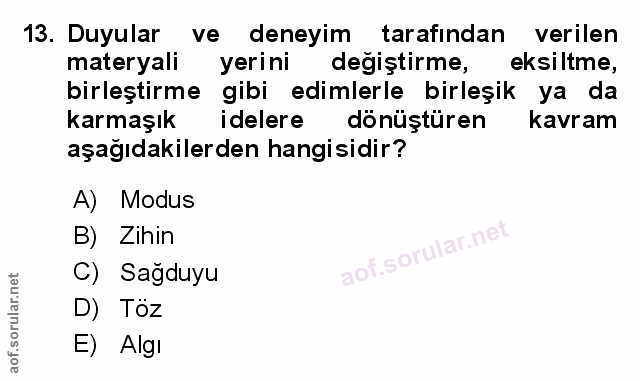 Soru 13