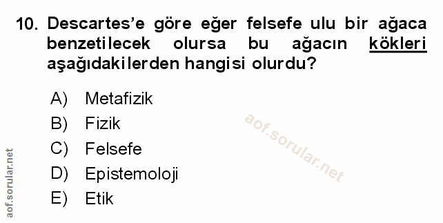 Soru 10