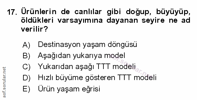 Soru 17