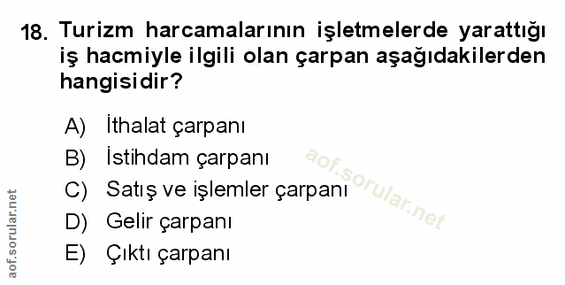 Soru 18