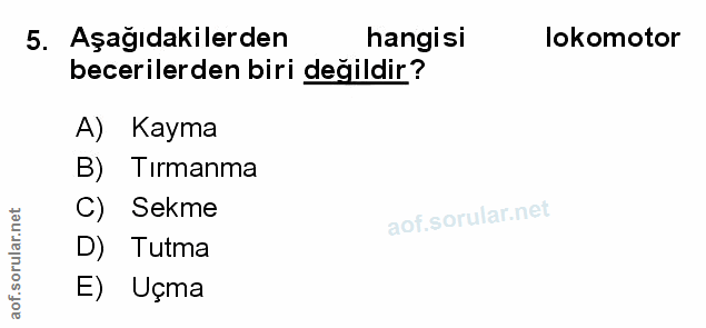 Soru 5
