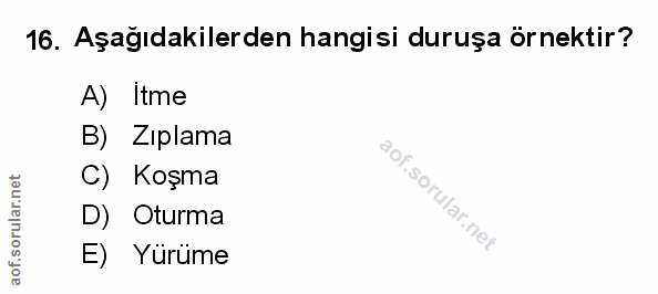 Soru 16