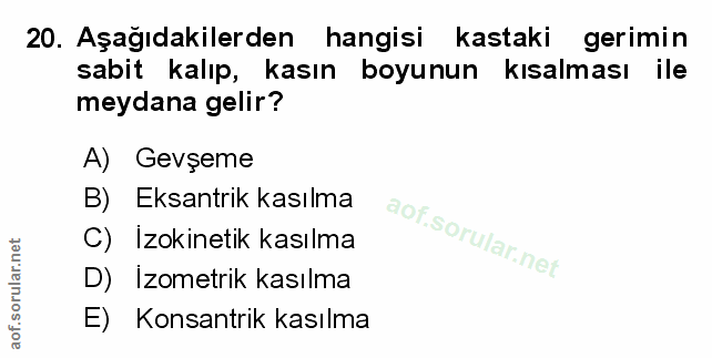 Soru 20
