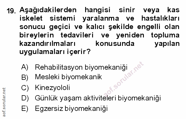 Soru 19