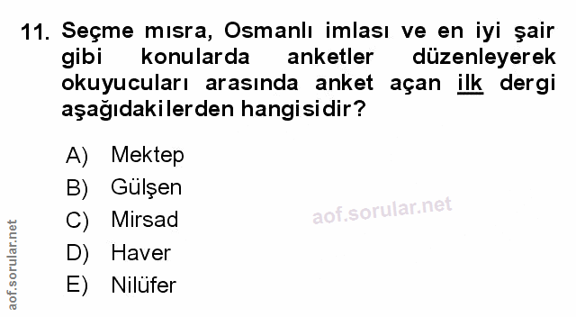 Soru 11