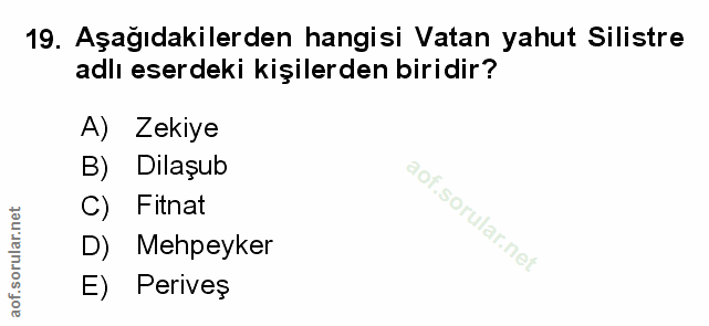Soru 19