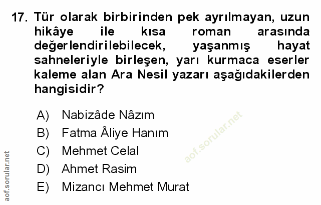 Soru 17