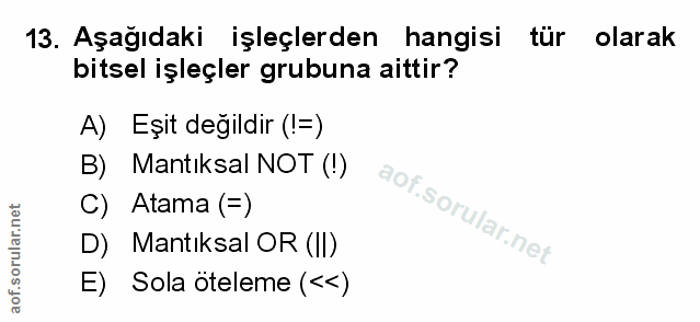 Soru 13