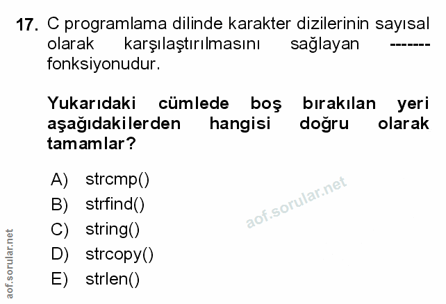 Soru 17