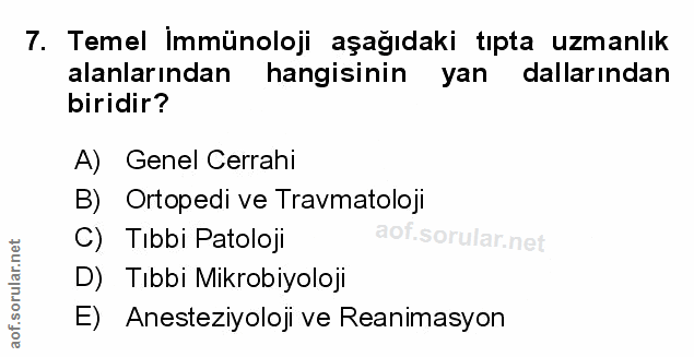 Soru 7