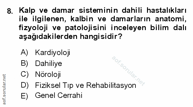 Soru 8
