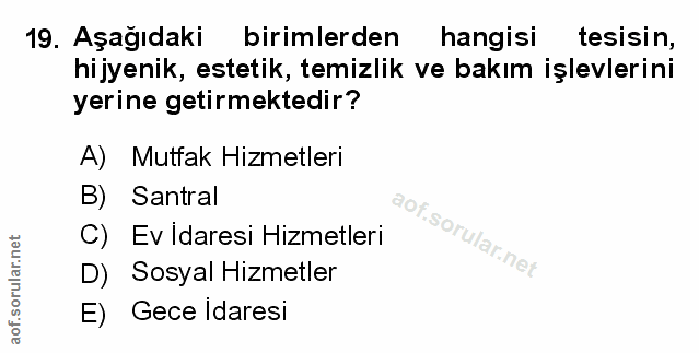 Soru 19