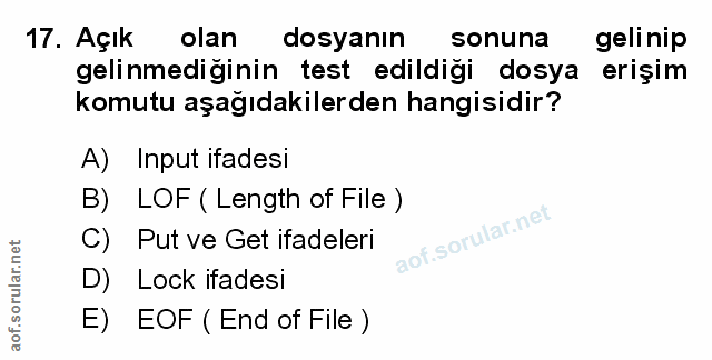 Soru 17
