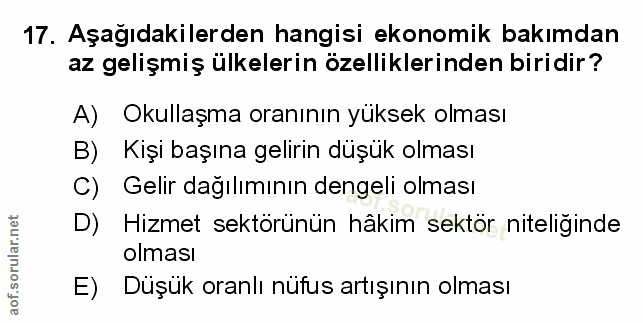 Soru 17