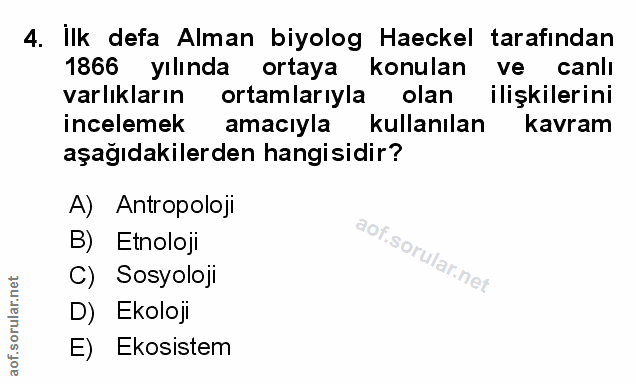 Soru 4