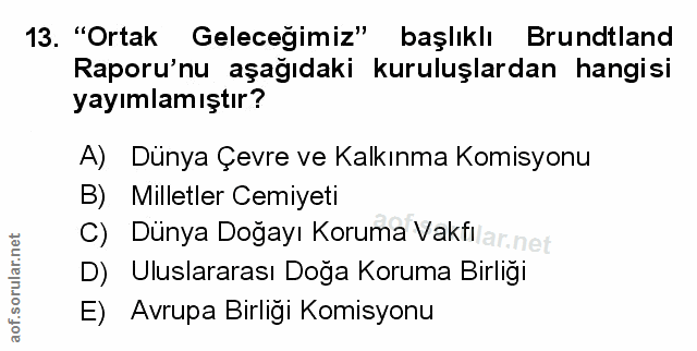 Soru 13
